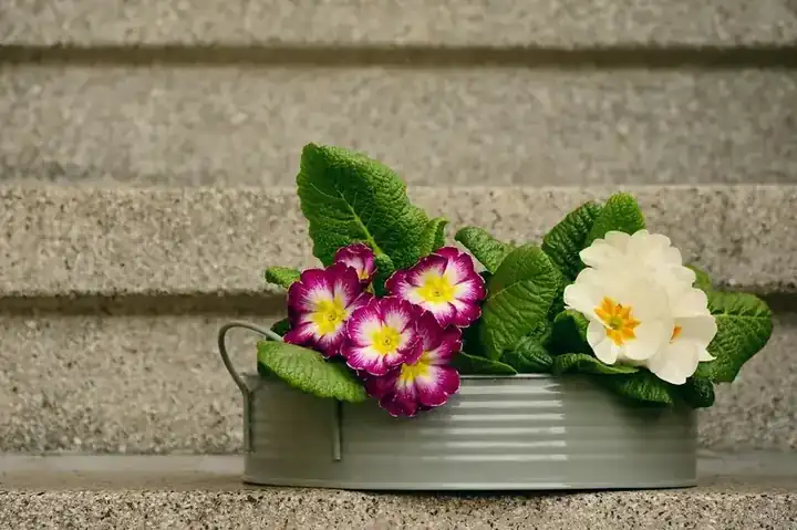 Stone planter
