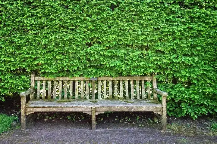 Bench