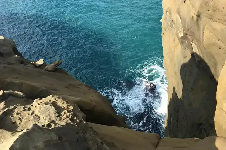 Coastal trunk